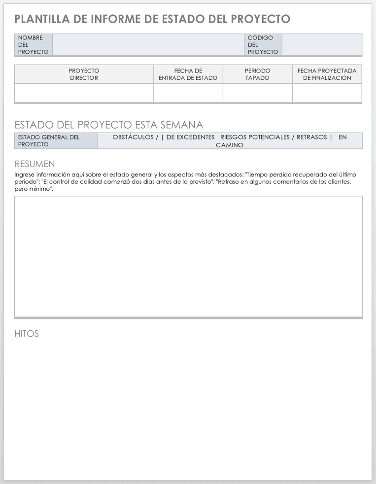 INFORME DE ESTADO DEL PROYECTO